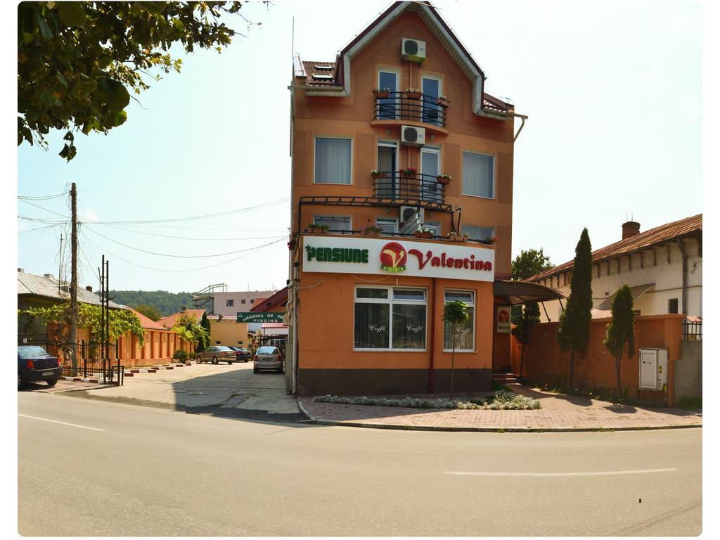 Pensiune Valentina Hotel Ramnicu Valcea Exterior photo